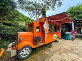 Strawberry Hill- Free Breakfast Opening Promo